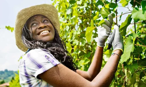 iStock-803513250-e1596720004583